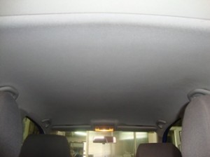polo roof 9